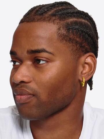 Boucles d'oreilles 'Vesta' Heideman en or : devant