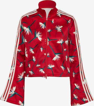 ADIDAS ORIGINALS Zip-Up Hoodie 'Thebe Magugu Beckenbauer' in Red: front