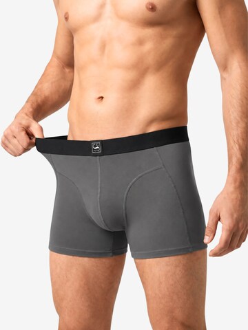 SITZTGUT Boxer shorts in Grey