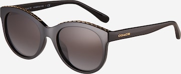 Lunettes de soleil 'HC8297U' COACH en noir : devant