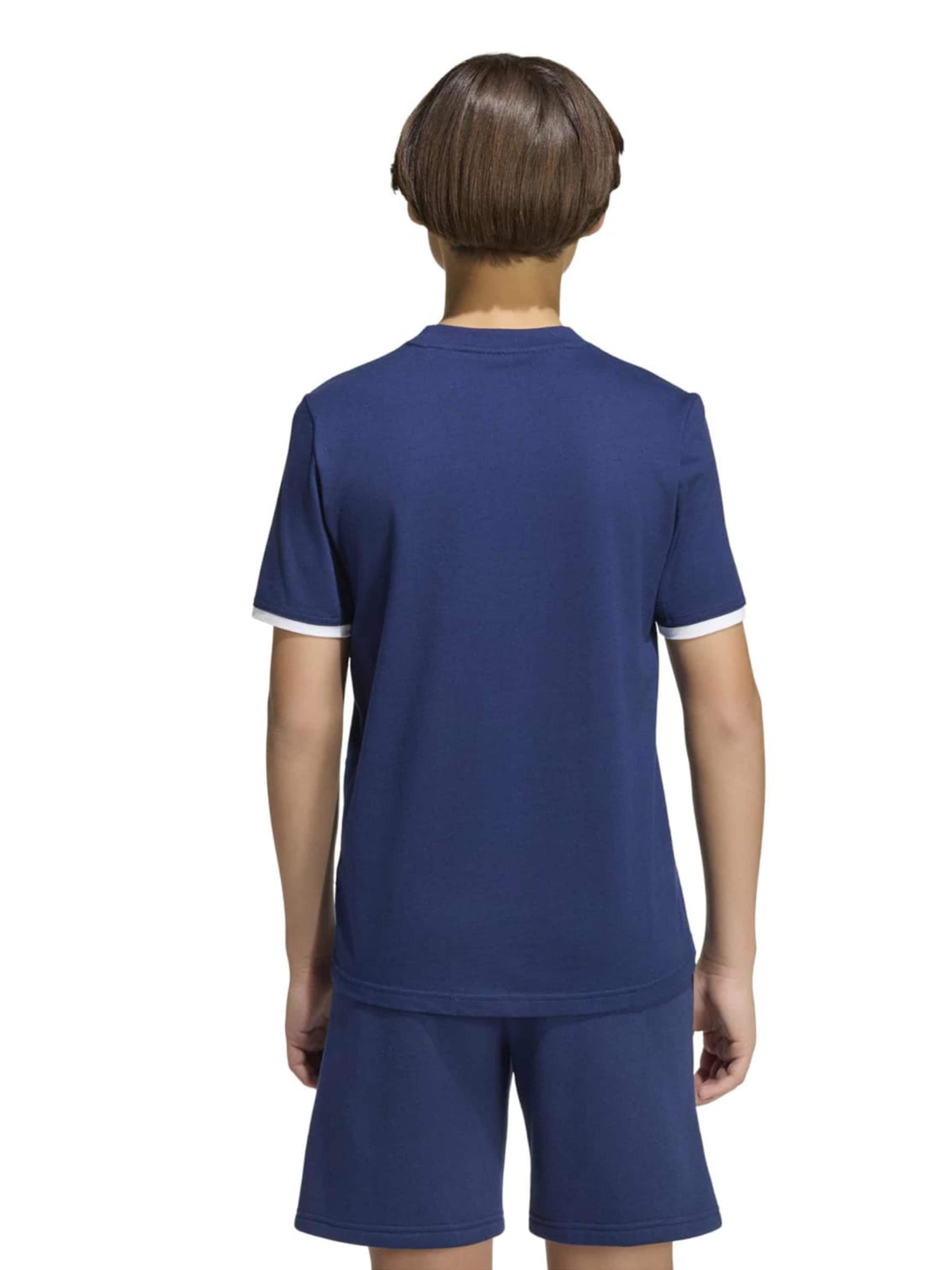 ADIDAS PERFORMANCE Performance Shirt 'ENT26' in Blue