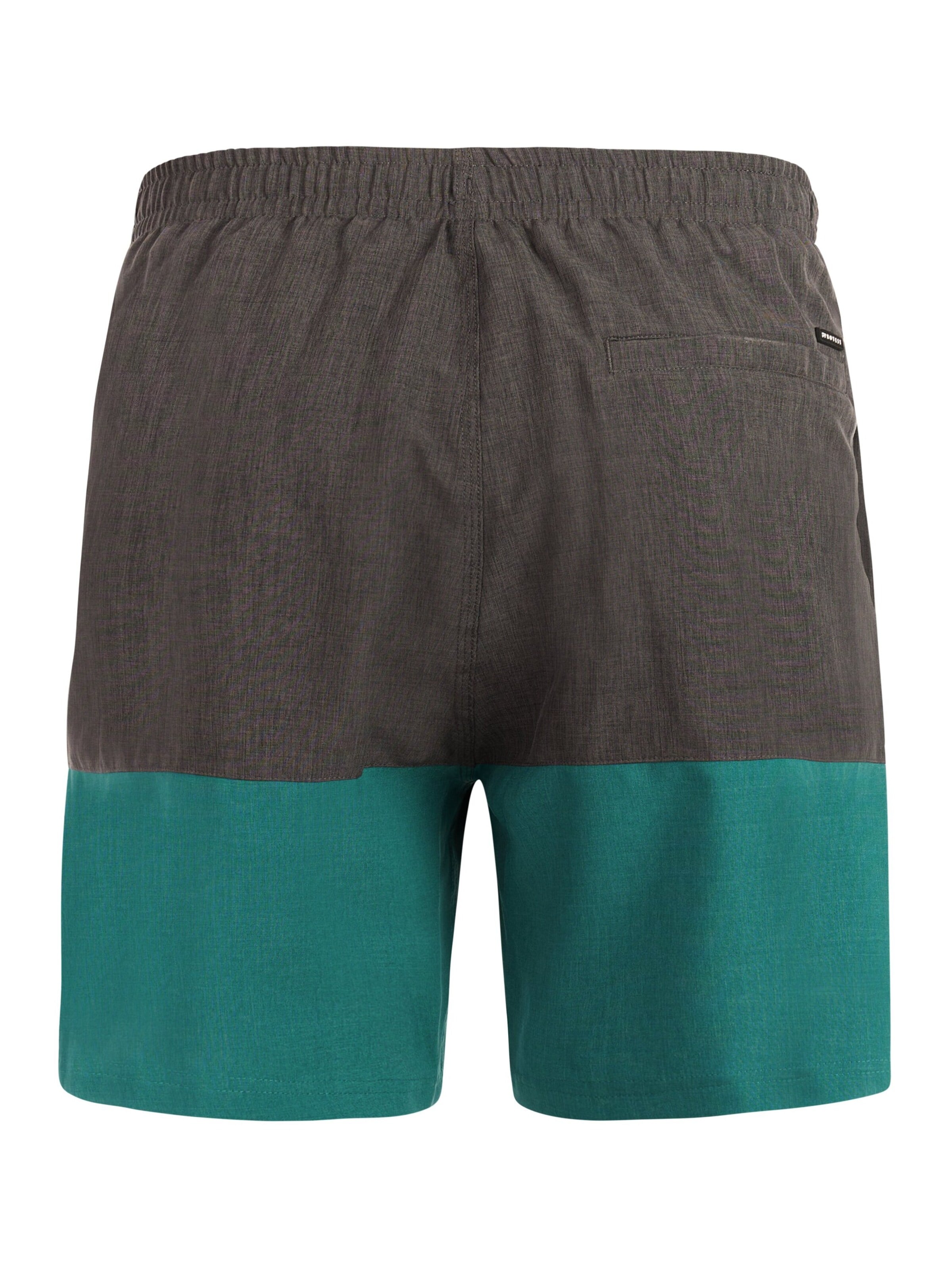 PROTEST Board Shorts 'Cabus' in Green