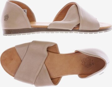 Apple of Eden Sandalen 38 in Beige: predná strana