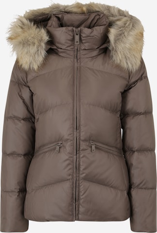 Calvin Klein Winter Jacket in Brown: front