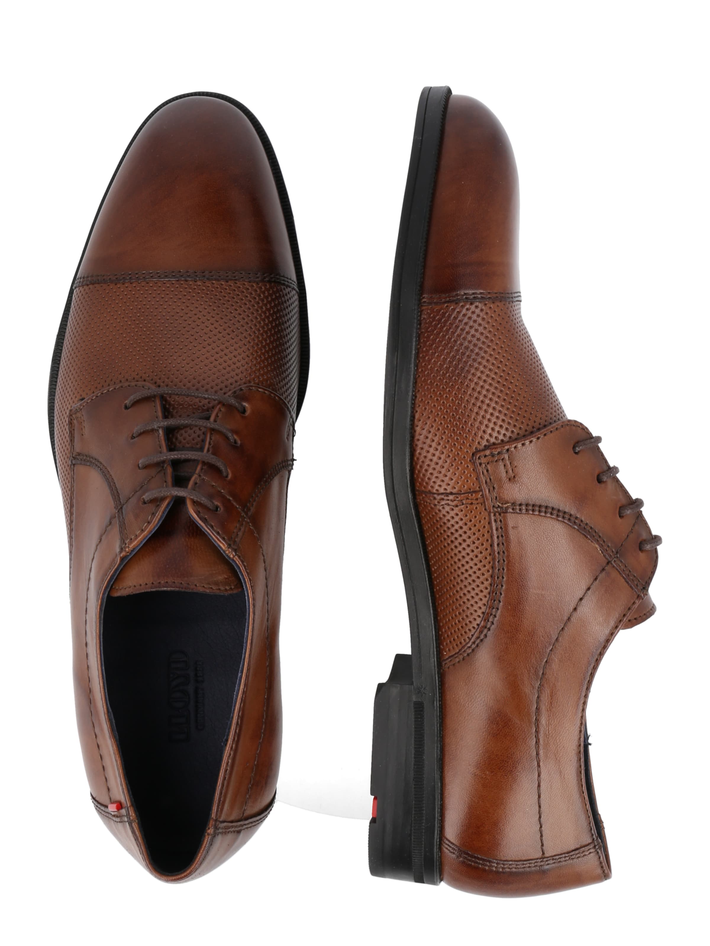 LLOYD Knytsko 'Folco' i brun