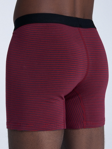 Albero Natur Boxershorts in Grün