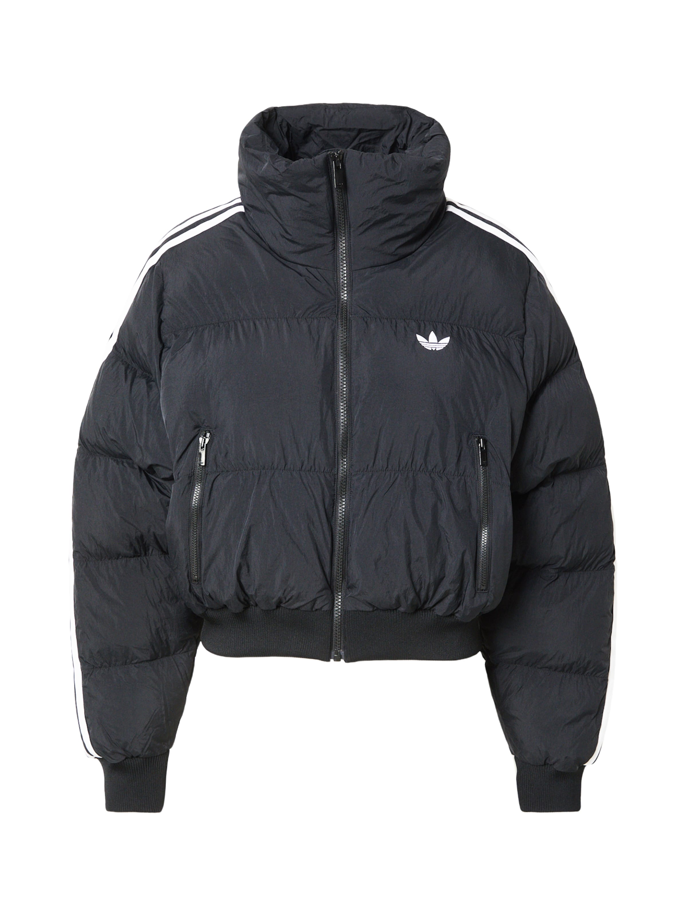 ADIDAS ORIGINALS Winter Jacket 'Adicolor JKT' in Black: front