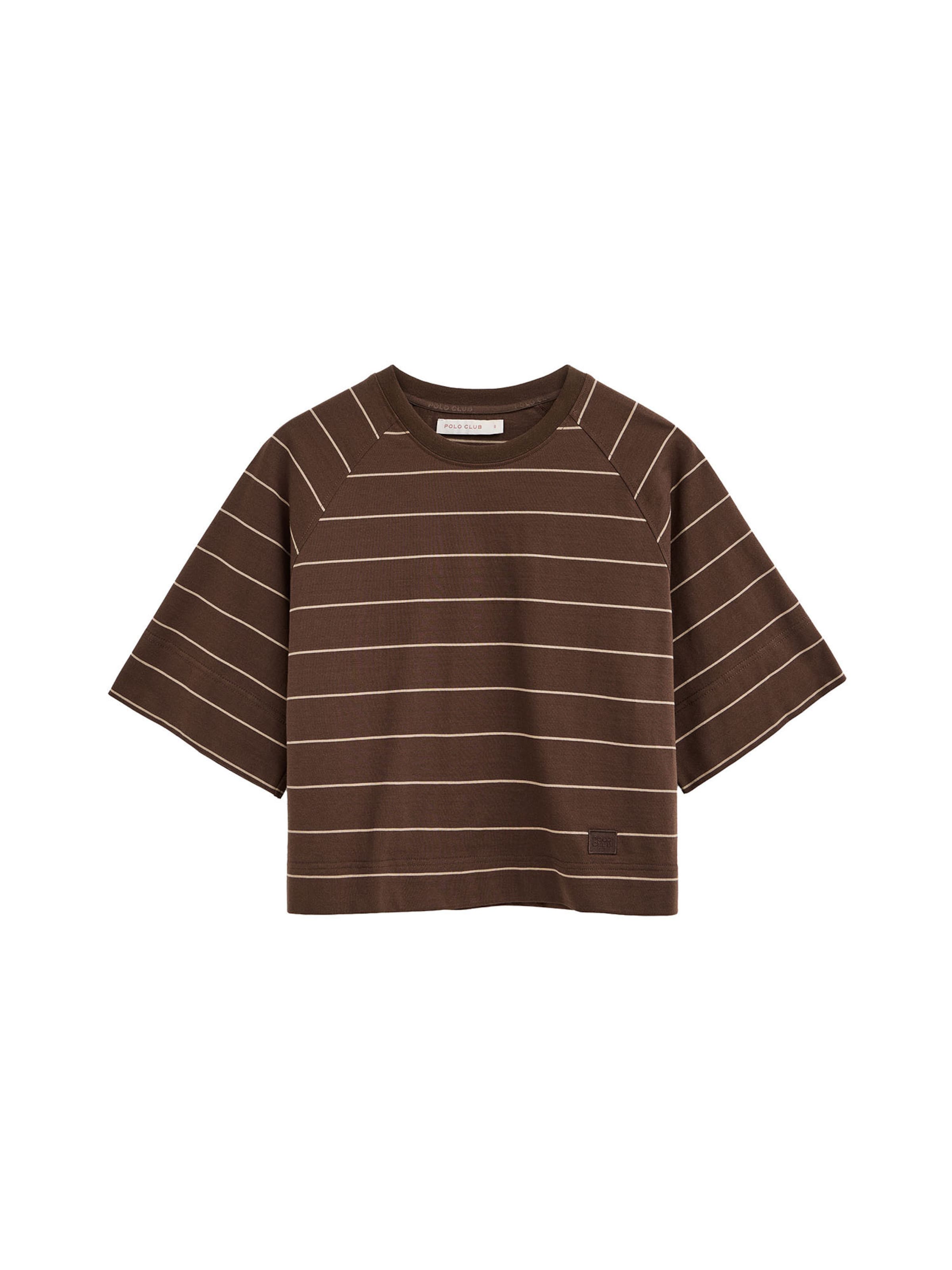 Polo Club Shirt 'DANAE' in Brown: front