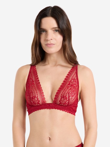 ETAM T-Shirt BH 'Panama' in Rot