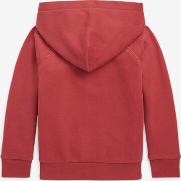 Polo Ralph Lauren Sweatshirt in Rood