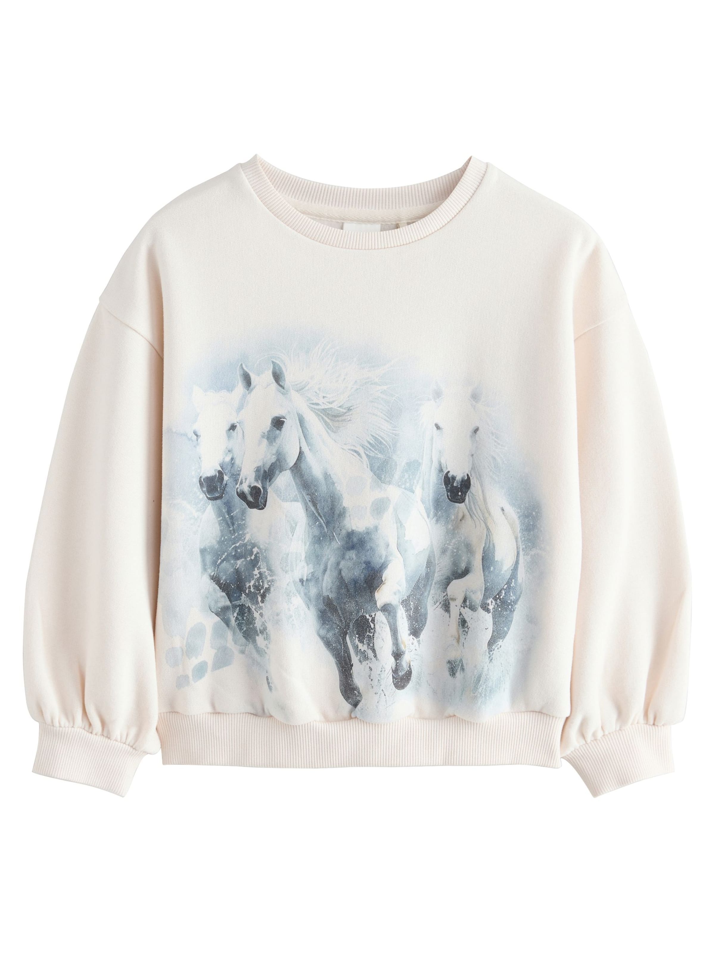 Next Sweatshirt in Beige: front