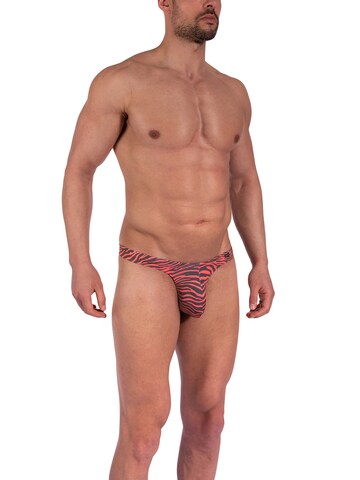 Olaf Benz Panty in Red: front