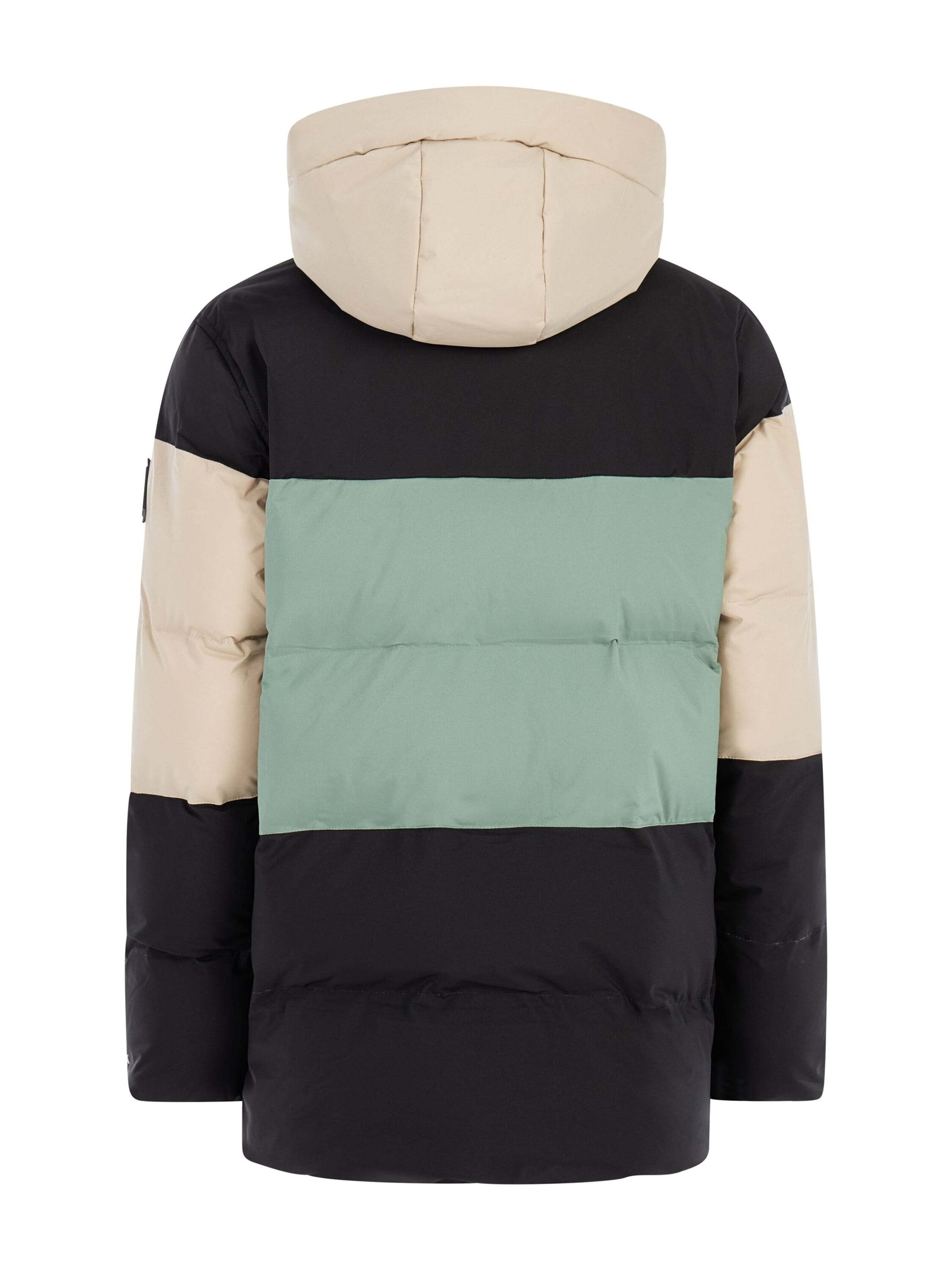 PROTEST Athletic Jacket 'PRTJustin JR' in Green