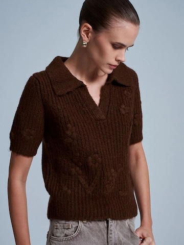 Dilvin Pullover 'Pullover'‌‌‌‌ in Braun
