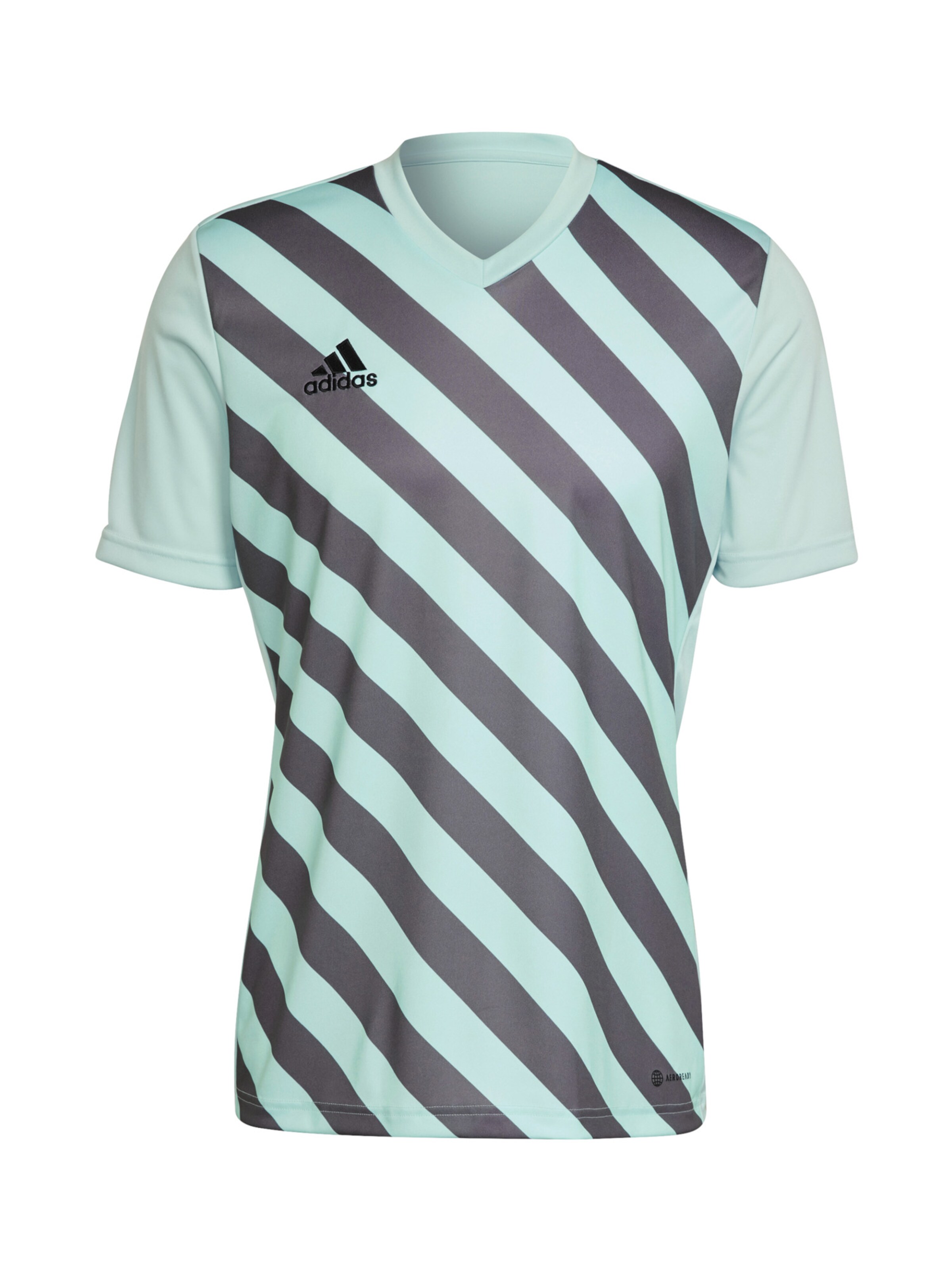ADIDAS PERFORMANCE Shirt 'Entrada' in Grün: Vorderseite