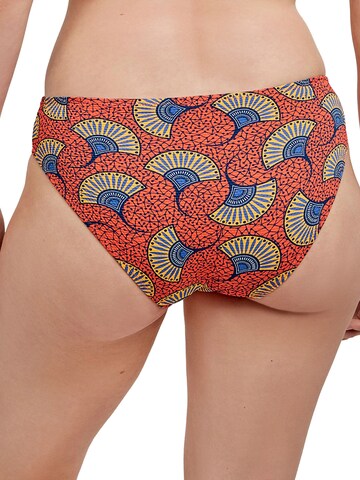 Slip bikini di Gisela in arancione