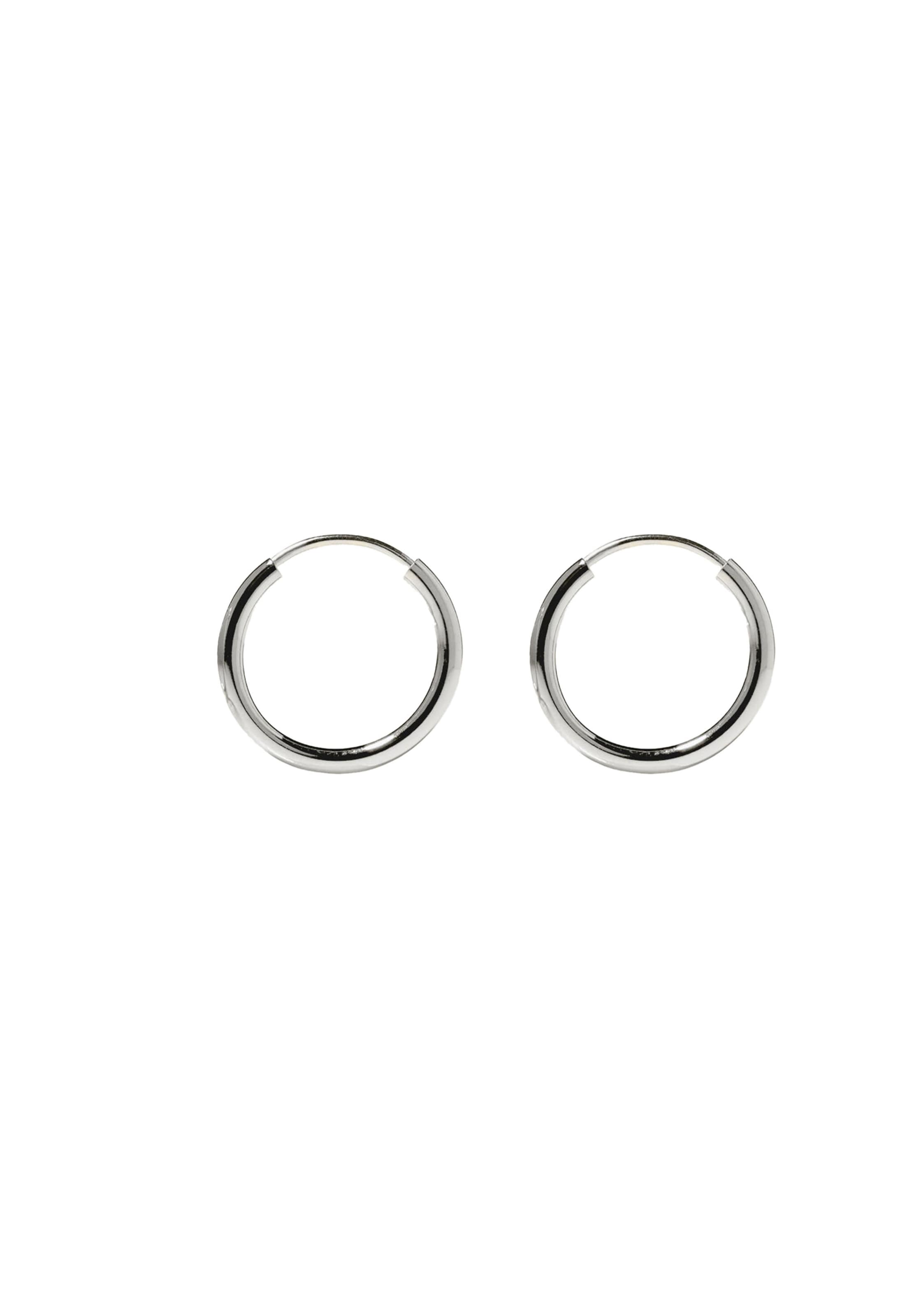 Stilnest Earrings in Silver: front