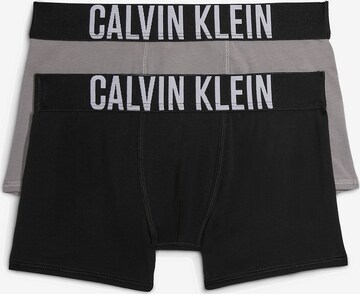 Pantaloncini intimi di Calvin Klein Underwear in grigio: frontale