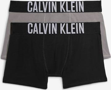 Calvin Klein Underwear Долни гащи в сиво: отпред