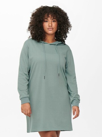 ONLY Carmakoma Dress in Green: front