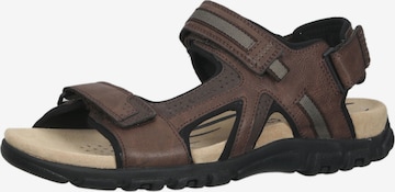 GEOX Hiking Sandals in Brown: front