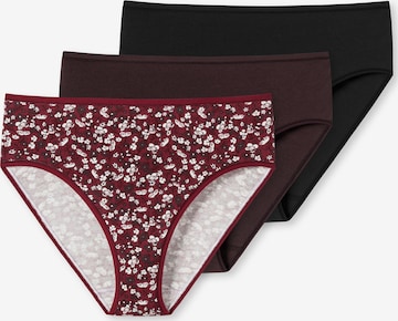 SCHIESSER Panty in Mixed colors: front