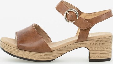 GABOR Sandals in Brown