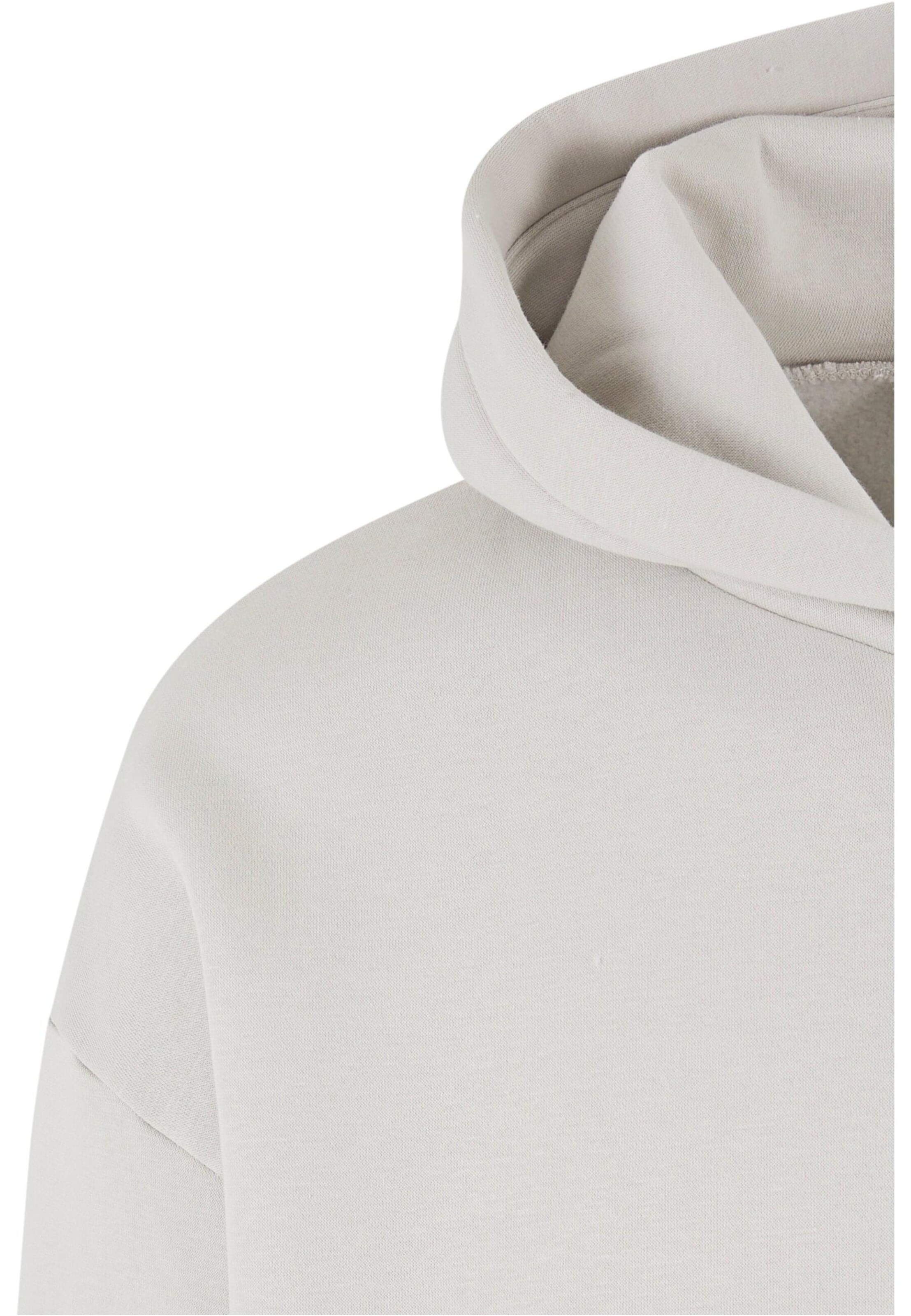 Dropsize Sweatshirt in Grau