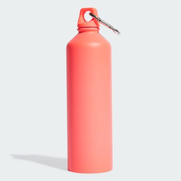 ADIDAS BY STELLA MCCARTNEY Drinking Bottle in Pink