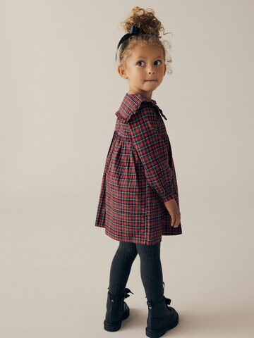 Next Kleid in Rot