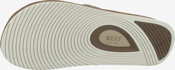 REEF Strand-/badschoen 'Drift' in Beige