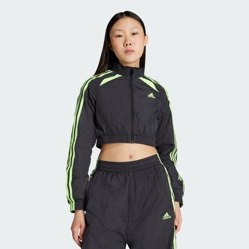 ADIDAS ORIGINALS Tussenjas 'Teamgeist Adicolor' in Zwart: voorkant