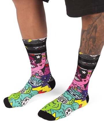 American Socks Socks 'Barbarian' in Mixed colors: front