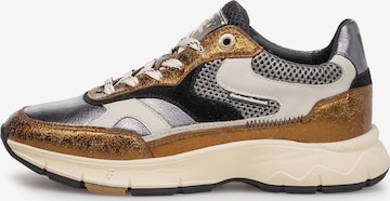Floris van Bommel Platform trainers 'Daysi 03' in Bronze: front