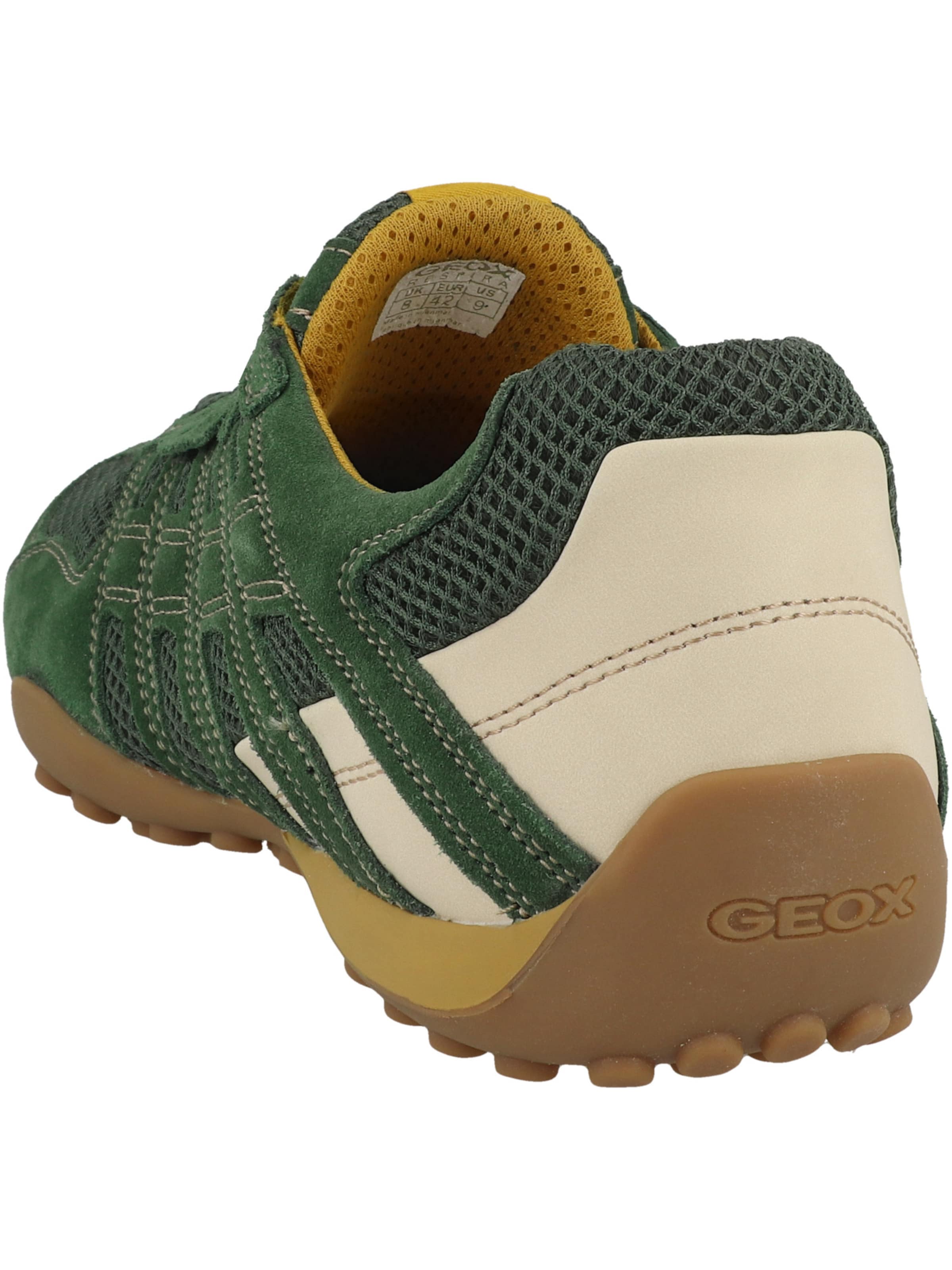 Baskets basses 'Snake Original' GEOX en vert