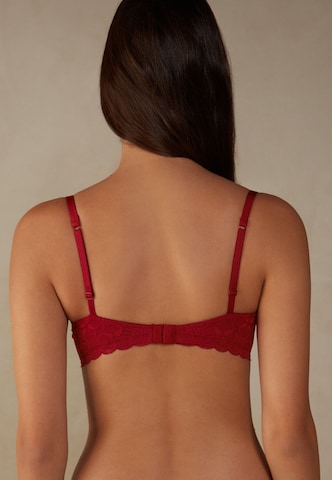 INTIMISSIMI Balconette BH in Rot