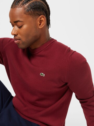 LACOSTE Regular fit Sweater in Brown