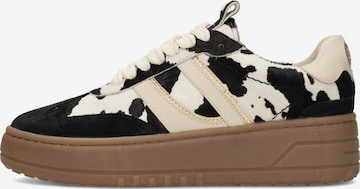 Baskets basses 'ANEMONE' PS Poelman en mélange de couleurs : devant