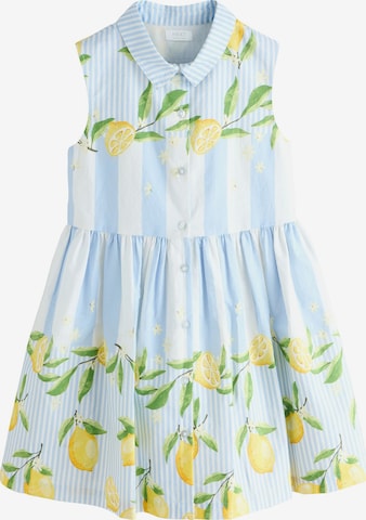 Next Mekko värissä sininen: etupuoli