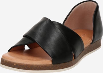 Apple of Eden Sandals 'Celine' in Black: front