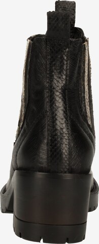 LAZAMANI Chelsea Boots in Black