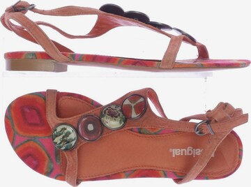 Desigual Sandalen 37 in Orange: predná strana