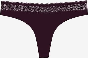 TRIUMPH String in Braun: Vorderseite