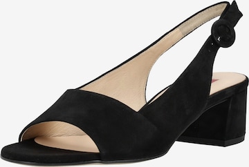 Sandales à lanières Högl en noir : devant