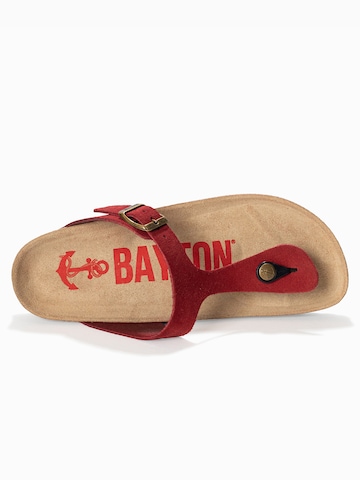 Bayton Μιούλ 'MERCURE' σε κόκκινο