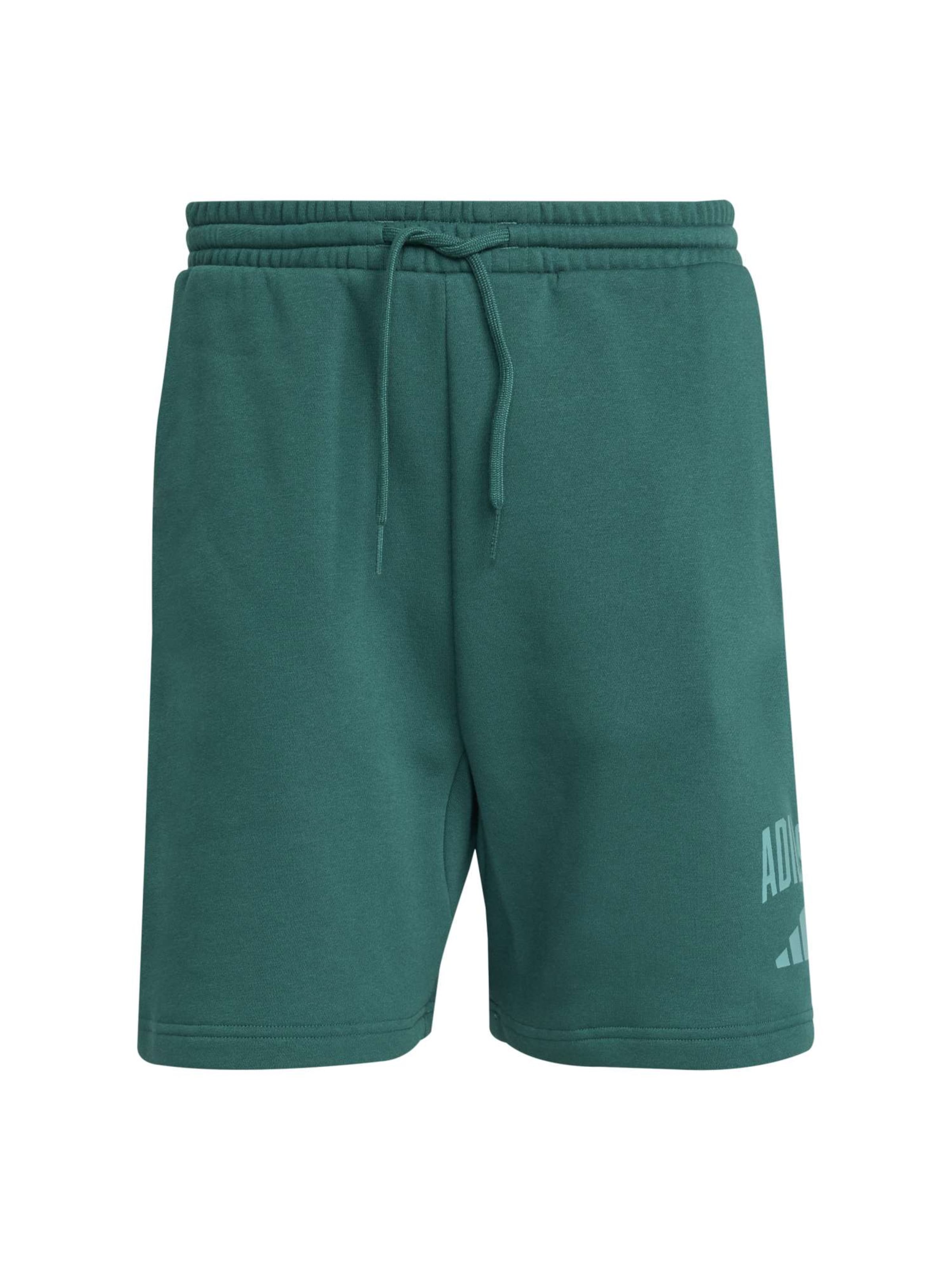 ADIDAS SPORTSWEAR Παντελόνι φόρμας 'COLLEGIATE' σε πράσινο / πράσινο παστέλ, Άποψη προϊόντος