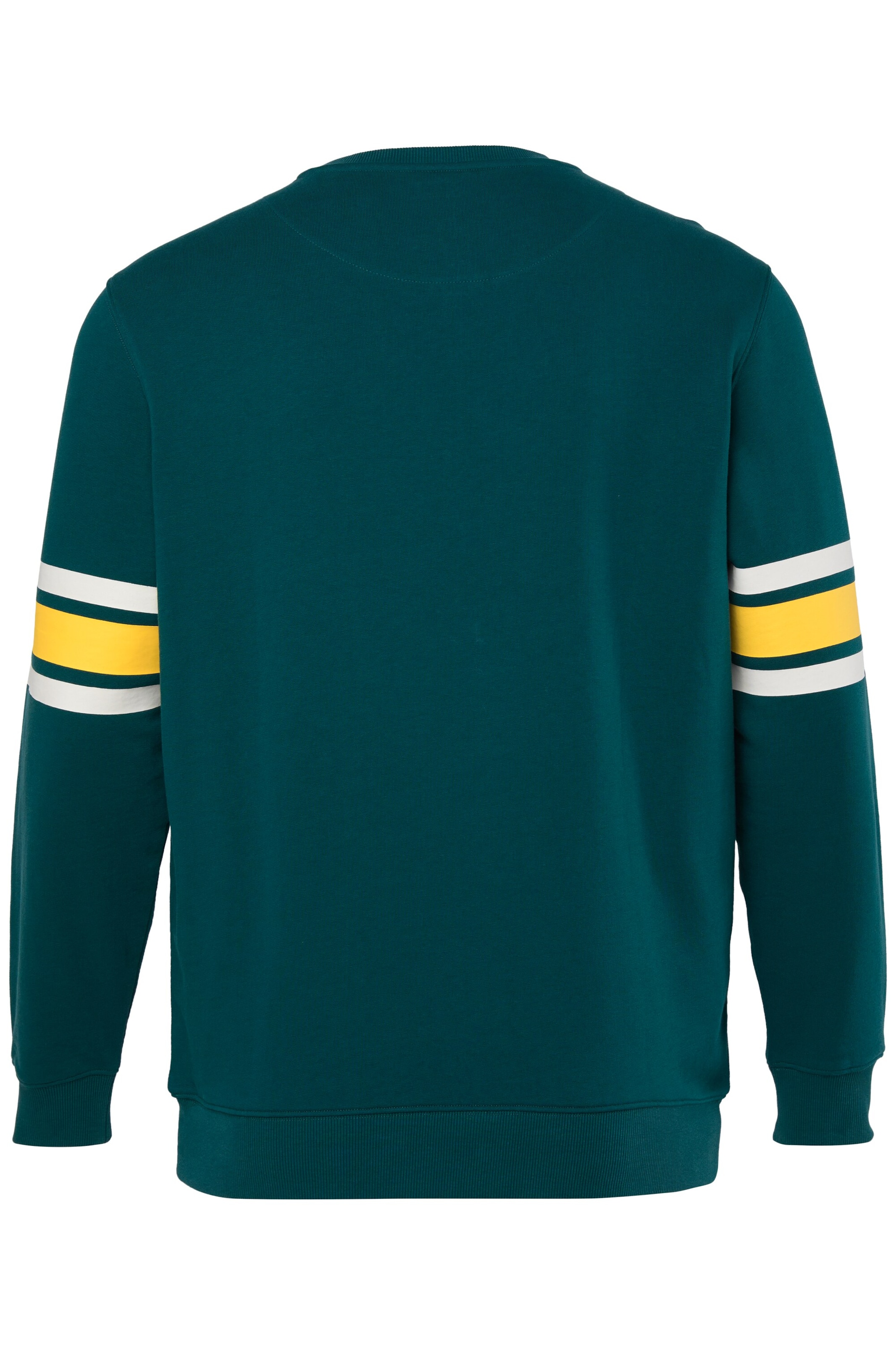 Men Plus Sweatshirt in Grün