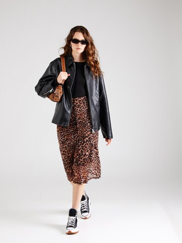 Noisy may Skirt 'NMELIF' in Brown