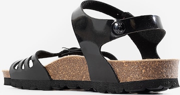 Bayton Sandalen met riem 'Eos' in Zwart