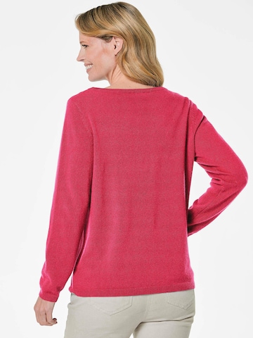 Goldner Sweater in Pink